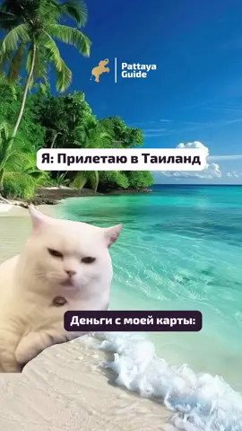 Мы знаем, как важно сэкономить в отпуске! 🥹🫶🏻 Отдых — это радость, и чтобы неожиданные расходы не испортили впечатления, воспользуйтесь услугами туроператора 🇹🇭 С нашей командой ваш отдых будет под контролем:  - Встретим вас в аэропорту  - Организуем такси по самой низкой цене — всего 1100 THB  - Подарим поездку на пляж (при заказе 2 экскурсий) - Поможем забронировать отель по выгодным ценам  Ваш отдых — наша забота!  Напишите в директ и получите полную программу экскурсий