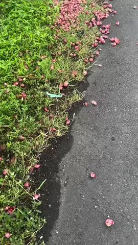 #artisviral #berita #beritaviral #beritaterkini #inspiration      