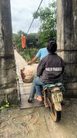 qua cầu #xuhuong2025🥰 #xuhuongtiktok #tiktokviral #thiennguyen #TikTokAwardsVN 