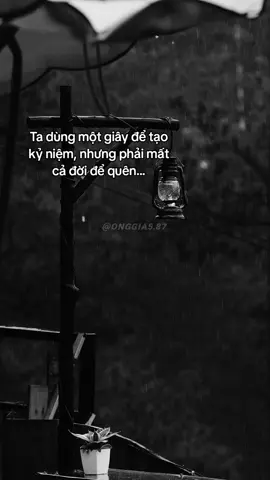 #onggia6_87 #suhuongtiktok  #trengding #capcut #fypシ 