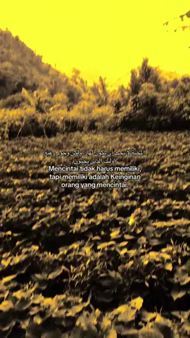 #quotesislami #syaircinta #langitaesthetic #xybca #masukberandamuu 