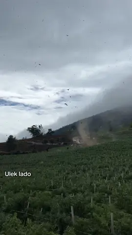 Senyuman menyelimut tangisan para petani lereng gunung singgalang, tidak ada yang bisa d salah kan , tuhan berbuat sekehendak Nya😢 #anginputingbeliung #pandaisikek #padahariini #fypage #fyppppppppppppppppppppppp 