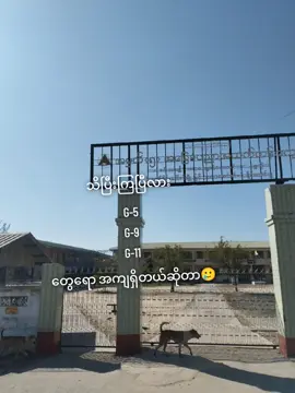 ငါစေ့ညစ်🥲#tiktokmyanmar #foryoupage 