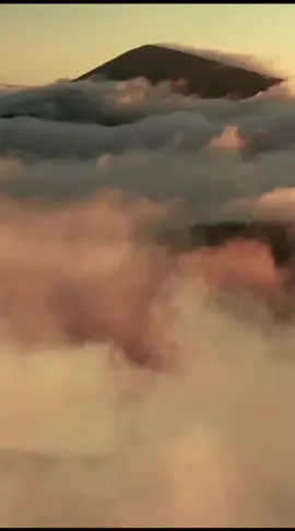 LISA has been included in Tatler Asia's 