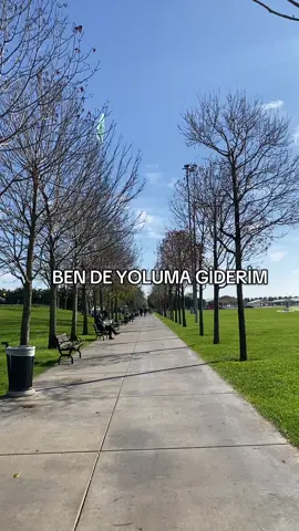 Ben de yoluma giderim (so i go my own way ) 🇹🇷 #turkishsong🎵🎶 #turkishsongtranslate 