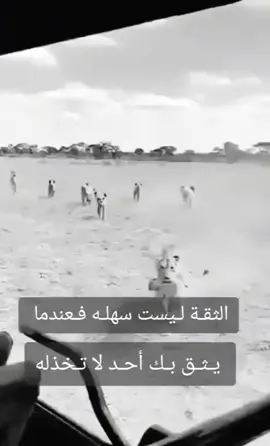 #برج_القوس♐️ #الثقة #لايك__explore___ #tiktok #🕊️✨💯 