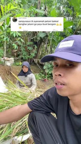 Mudah mudahan tereh payu jarami#bobibos#capruk #fyp 