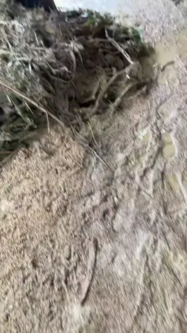 người không sao là may lắm rồi 😳