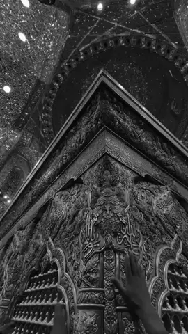 مَا رَديـت واحِد يُوم 🤍. #مسلم_الوائلي #ياعلي_مولا_عَلَيہِ_السّلام #بناء_قبر_الامام_الحسن_مطلبنا #الامام_علي #fypシ゚ 