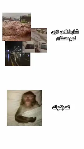 بۆ ئەکتیڤ نابێێێ🥰؟#foryoupage #fyp #fy #foryou #viral 