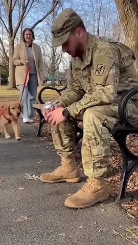 He served his country. His dog waited for him.🐶❤️#fyp #foryou #funny #Love #dog