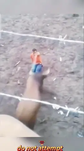Bullfighting’s Best: Fierce Cape Maneuvers and Bulls! #extremesports #funny #fight #bullfighting #crazy 