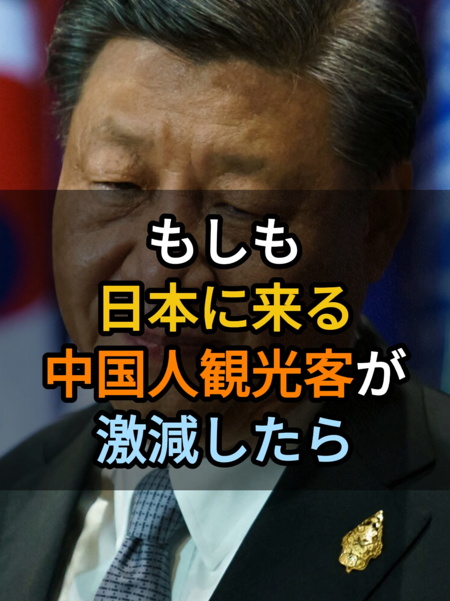 【もしも】日本を訪れる中国人旅行者が大幅に減少したら #政治 #もしも