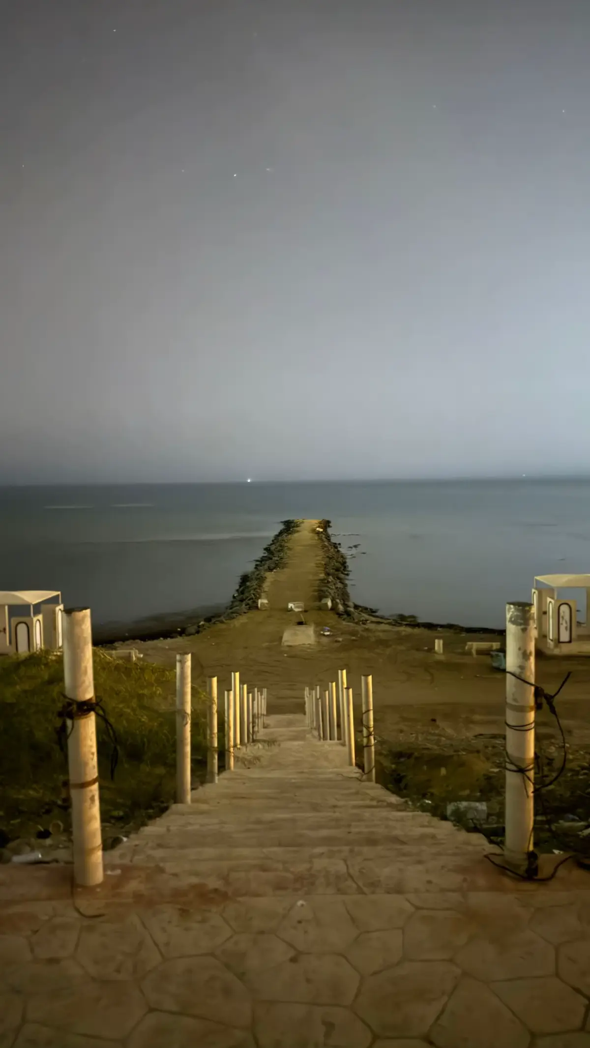 #القنفذه #tiktok #you #edit #yfp 