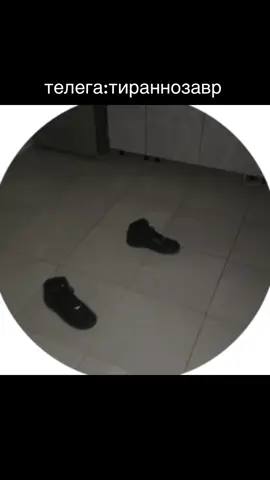 Очень страшно было😭 Телега:тираннозавр 