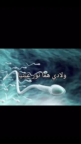 #fyp #foryou #fypシ #الشعب_الصيني_ماله_حل😂😂 #ولادي_هما_نور_عنيا 