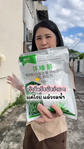 กำจัดกอไผ่ กำจัดวัชพืช#สารกําจัดวัชพืช #กําจัดวัชพีช #สารกําจัดกอไผ่ #กําจัดกอไผ่ #ยากําจัดวัชพืช 