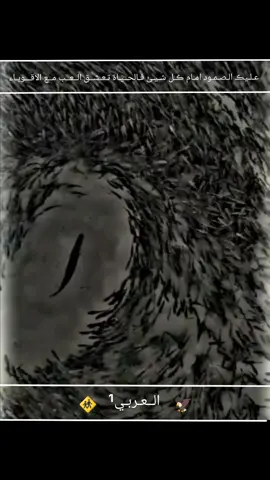 #مصمم_فيديوهات🎬🎵 #العربي1 