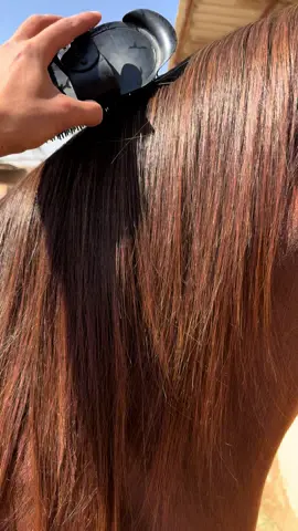 #خيل_وخياله🐎 #حصان_عربي #خيول #ركوب #اصطبلات #فرسان #خياله🐎 #فرس #بريده #يوميات #s #اكسبلووووورررر #fyp #explore #لايك__explore___ #explore #اكسبلورexplore #الشعب_الصيني_ماله_حل😂😂 