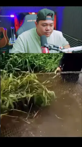 Ular Berbatik kah ? 🤣 #yourdudhreaction #yourdudhreact #yourdudh #clippers #fyp 