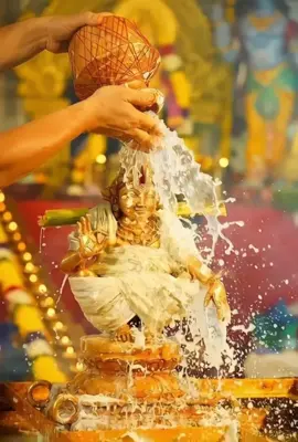 Saranam aiyappa #aiyappan #lordsiva🙏 #god #mrugan #trandingvideo 