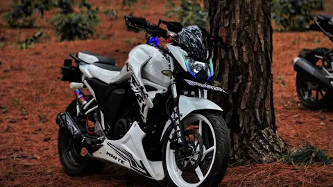 එයාලා 🥵🤍#onemillionaudition #fzridersclub🇱🇰 #hillcity #trending #fypシ @@the_v2_Silent 