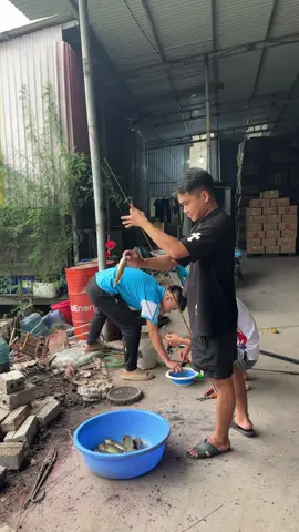 Câu cá quả này thư thái không các cần thủ ơi 🤣😂😂#anmocan 