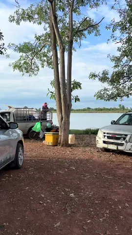 #ต้นแพปลา🐠🤟🏻 