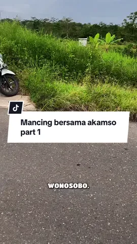 Mancing bersama akamso pake tegek 20ribuan 🤩 #microfishingwonosobo #tegekmurah #mancingliar #microfishing #mancing 