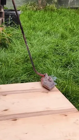 كرسي حبل مريح 🧵 صنعه بنفسك من الخشب الرقائقي 🪑 #interiordesign #decor #DIY #handmade #woodwork