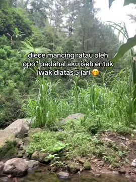 🗿 #fyp #jowopride #microfishing #mancingliar #masheer 