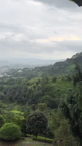 #بونشاك🇮🇩 #بونشاك_اندونيسيا #اكسبلورexplore #explore #الشعب_الصيني_ماله_حل😂😂 