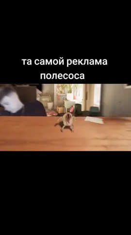 подпишись и поставь лайк  #рек #мемы #я #fyp #xyzbca #мем 