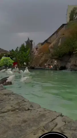 #اكسبلورexplore❥🕊🦋💚❤ 