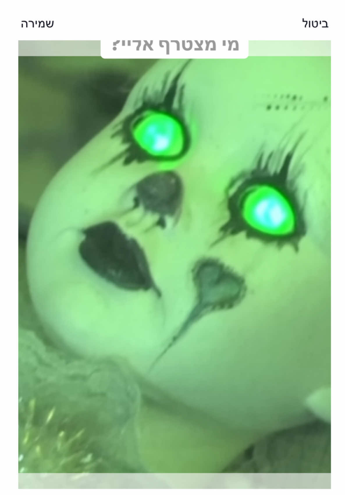 פרויקט חדש מיוחד ופסיכי! אני לוקח איתי 4 עוקבים ללילה בבית הכי רדוף בפולין! חוויה של פעם בחיים! #פוריו #אימה #מפחיד #עבורך 