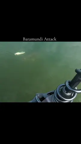 #anglerrebahaners #fishing #mancing #foryou #baramundi 