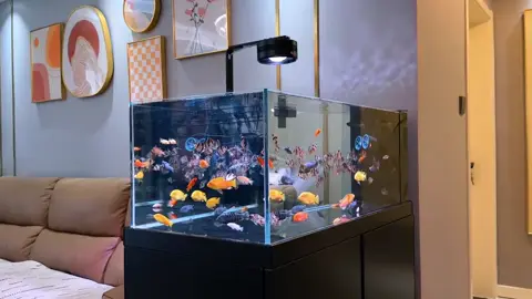 #quanaqua #beca #yeuthuysinh #nature 