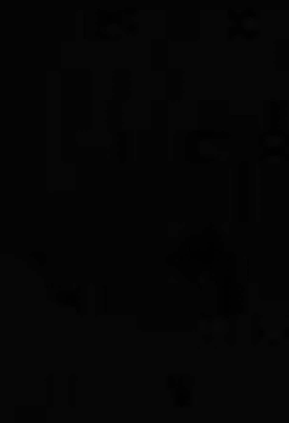 “lòng nàng đã có anh chàng nào chưa?”