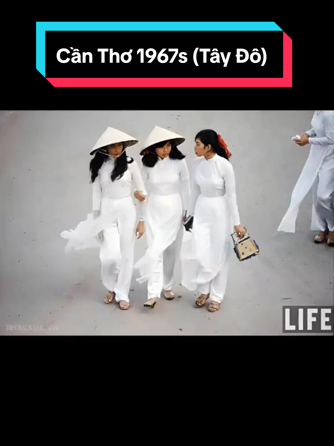 Cần Thơ 60s–70s: Dòng phù sa chở theo những mùa ký ức.  #nhacxuavn #cantho65 #Taydo #xuhuongtiktok 