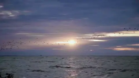 #စာတိုရေးဖို့အလွတ်😊 