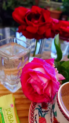 #فيروزيات_الصباح #صباح_الخير #فيروز_وفنجان_قهوة #☕️🕊📜 