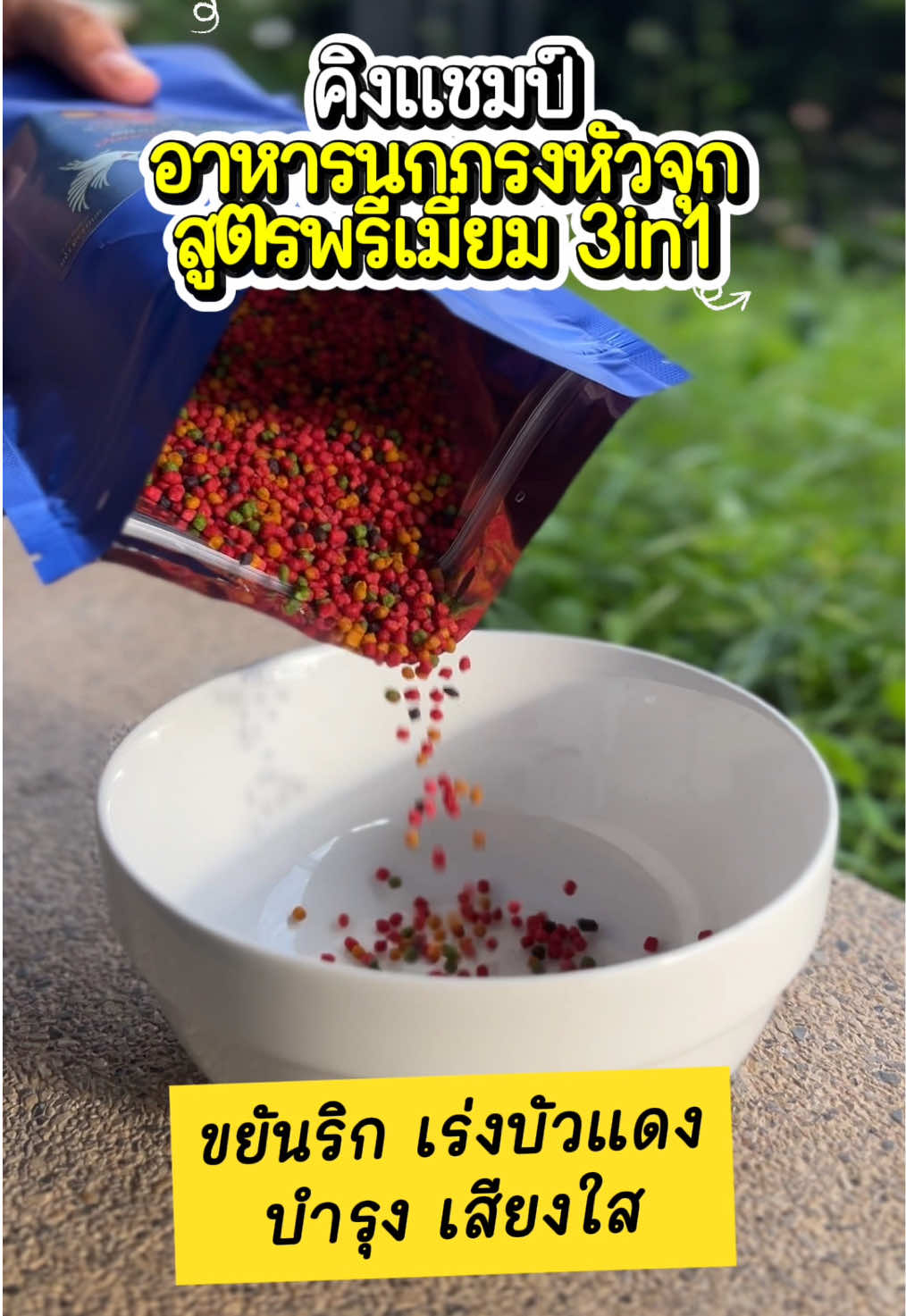 #อาหารนกกรงหัวจุก #ป้ายยา #รีวิว #อาหารนก #นกกรงหัวจุก 