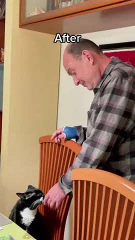 Cats have a way of getting turning people into big#cat #cats #catslovers #catsoftiktok #fyp 