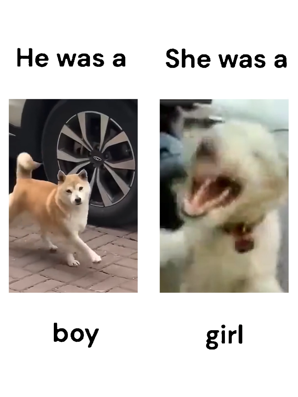 bounce vs zaag chi vince #uptempo #gabber #hardstyle #zaagkicks #uptempoisthetempo 