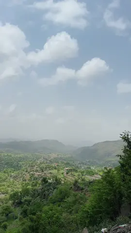 #تعز #جبل_حبشي