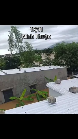 Hôm bữa tui đăng Bình Thuận tui bị lũ, mấy bạn Ninh Thuận kêu ngoài đó nắng cháy da giờ tới luôn rồi nè. Thật ngạc nhiên khi Bình Thuận và Ninh Thuận là khó bị lũ lụt nhất mà năm nay vẫn bị, bà con trở tay k kịp #lulut #mientrung #NinhThuan 