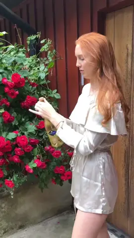 Funny fail #funnytiktok #funnyvideo #usa🇺🇸 #funny 