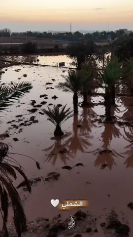 صباح  الشملي بعد المطر🌨️⛈️ #الشملي #حائل #حايلندا #اجواء_الشتاء #الوسم 