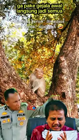 #jokowi #prabowo #fyp 