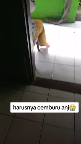 diluar nalar sekalii